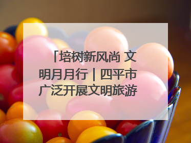 培树新风尚 文明月月行｜四平市广泛开展文明旅游主题实践活动