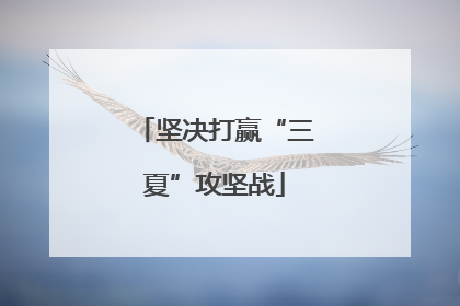 坚决打赢“三夏”攻坚战