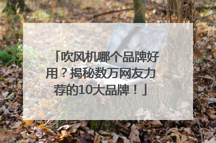 吹风机哪个品牌好用？揭秘数万网友力荐的10大品牌！