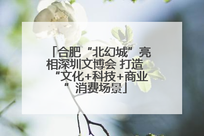 合肥“北幻城”亮相深圳文博会 打造“文化+科技+商业”消费场景
