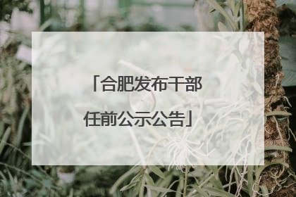 合肥发布干部任前公示公告