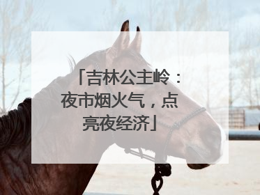 吉林公主岭：夜市烟火气，点亮夜经济