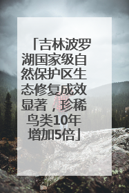 吉林波罗湖国家级自然保护区生态修复成效显著，珍稀鸟类10年增加5倍