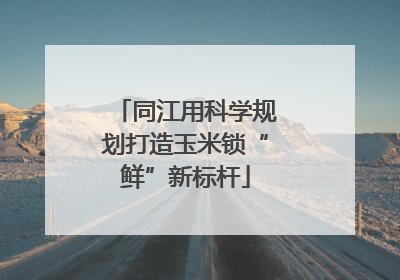 同江用科学规划打造玉米锁“鲜”新标杆