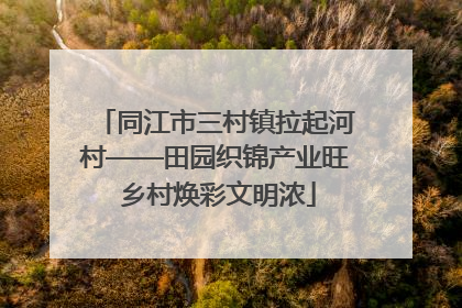 同江市三村镇拉起河村——田园织锦产业旺 乡村焕彩文明浓
