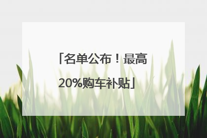名单公布！最高20%购车补贴