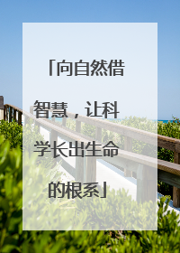 向自然借智慧，让科学长出生命的根系