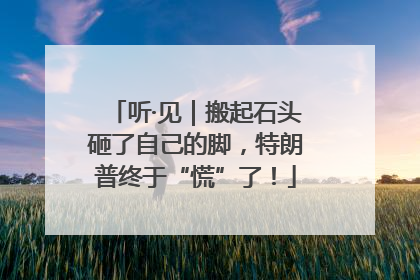 听·见｜搬起石头砸了自己的脚，特朗普终于“慌”了！