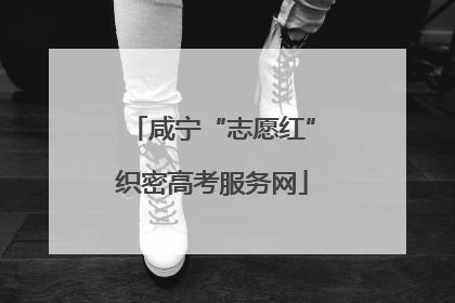 咸宁“志愿红”织密高考服务网