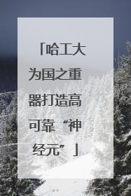 哈工大为国之重器打造高可靠“神经元”