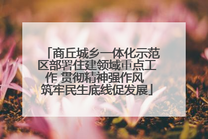 商丘城乡一体化示范区部署住建领域重点工作 贯彻精神强作风 筑牢民生底线促发展
