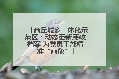 商丘城乡一体化示范区：动态更新廉政档案 为党员干部精准“画像”