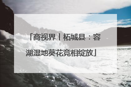 商视界丨柘城县：容湖湿地葵花竞相绽放