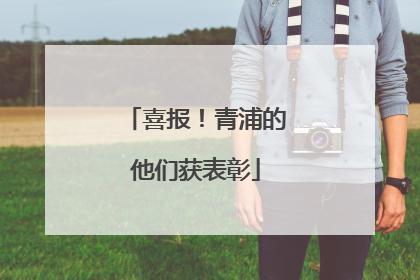 喜报！青浦的他们获表彰