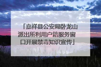 嘉祥县公安局卧龙山派出所利用户籍服务窗口开展禁毒知识宣传