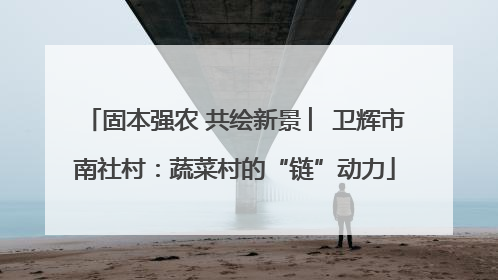 固本强农 共绘新景 ︳卫辉市南社村：蔬菜村的“链”动力