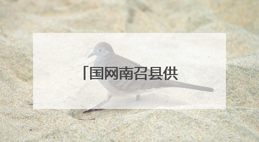 国网南召县供电公司：全程监督护航高考