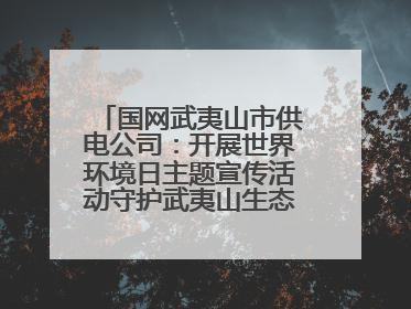 国网武夷山市供电公司：开展世界环境日主题宣传活动守护武夷山生态“高颜值”