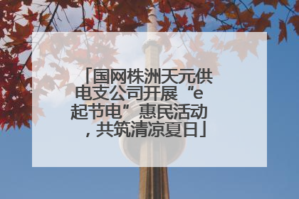 国网株洲天元供电支公司开展“e起节电”惠民活动，共筑清凉夏日