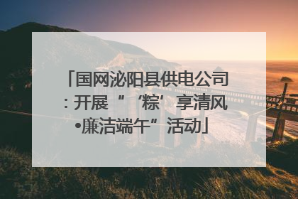 国网泌阳县供电公司：开展“‘粽’享清风 •廉洁端午”活动