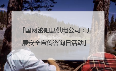 国网泌阳县供电公司：开展安全宣传咨询日活动