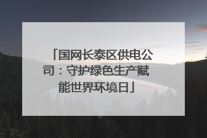 国网长泰区供电公司：守护绿色生产赋能世界环境日