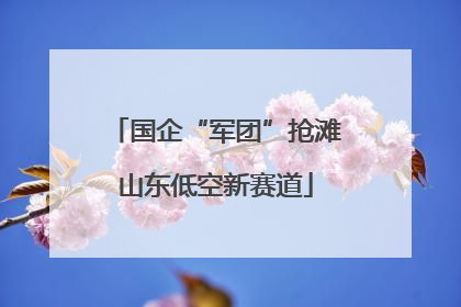 国企“军团”抢滩山东低空新赛道