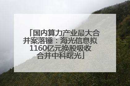 国内算力产业最大合并案落锤:海光信息拟1160亿元换股吸收合并中科曙光