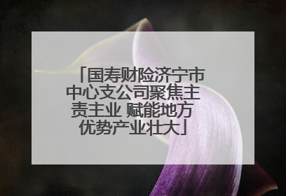 国寿财险济宁市中心支公司聚焦主责主业 赋能地方优势产业壮大