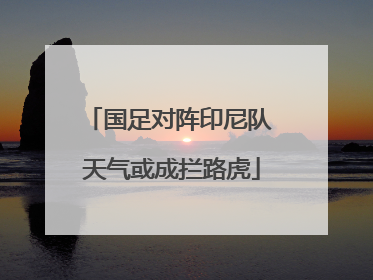 国足对阵印尼队 天气或成拦路虎