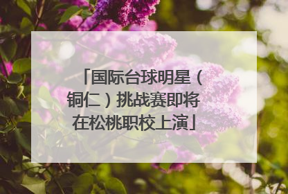 国际台球明星（铜仁）挑战赛即将在松桃职校上演