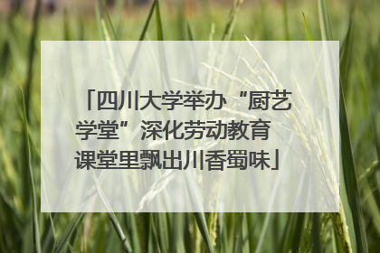 四川大学举办“厨艺学堂”深化劳动教育 课堂里飘出川香蜀味