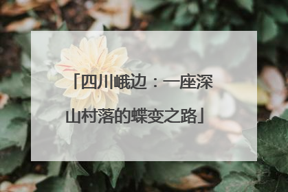 四川峨边：一座深山村落的蝶变之路