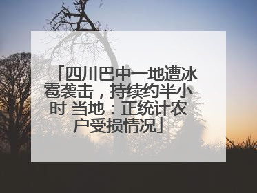四川巴中一地遭冰雹袭击，持续约半小时 当地：正统计农户受损情况