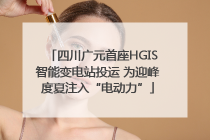 四川广元首座HGIS智能变电站投运 为迎峰度夏注入“电动力”