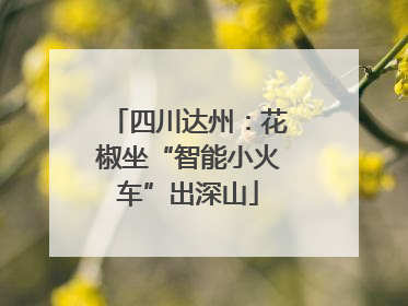 四川达州：花椒坐“智能小火车”出深山