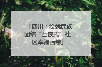 四川：绘就民族团结“互嵌式”社区幸福画卷