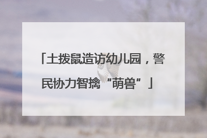 土拨鼠造访幼儿园，警民协力智擒“萌兽”
