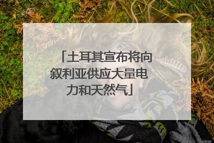 土耳其宣布将向叙利亚供应大量电力和天然气