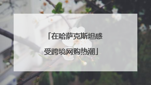 在哈萨克斯坦感受跨境网购热潮