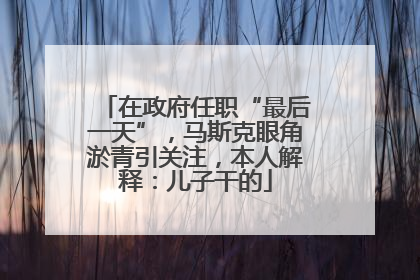 在政府任职“最后一天”，马斯克眼角淤青引关注，本人解释：儿子干的