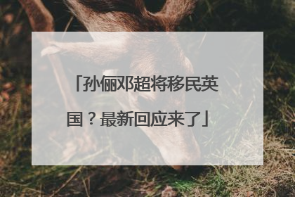 孙俪邓超将移民英国？最新回应来了