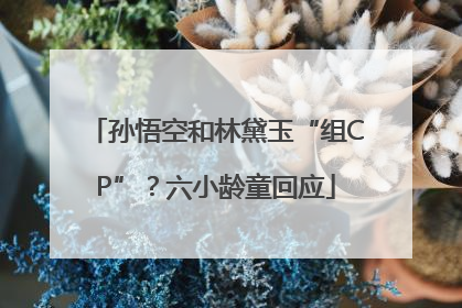 孙悟空和林黛玉“组CP”？六小龄童回应