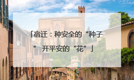 宿迁：种安全的“种子” 开平安的“花”
