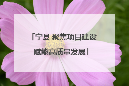 宁县 聚焦项目建设 赋能高质量发展