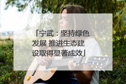 宁武：坚持绿色发展 推进生态建设取得显著成效