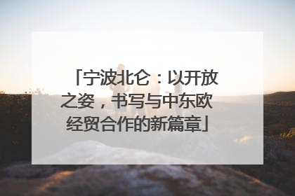 宁波北仑：以开放之姿，书写与中东欧经贸合作的新篇章
