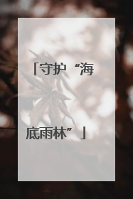 守护“海底雨林”