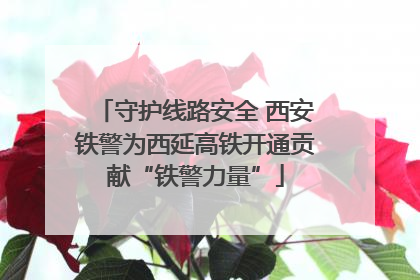 守护线路安全 西安铁警为西延高铁开通贡献“铁警力量”