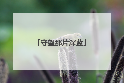 守望那片深蓝